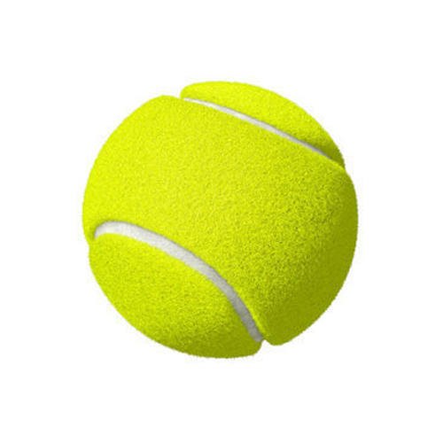 Cricket Tennis Ball (Pack of 6)