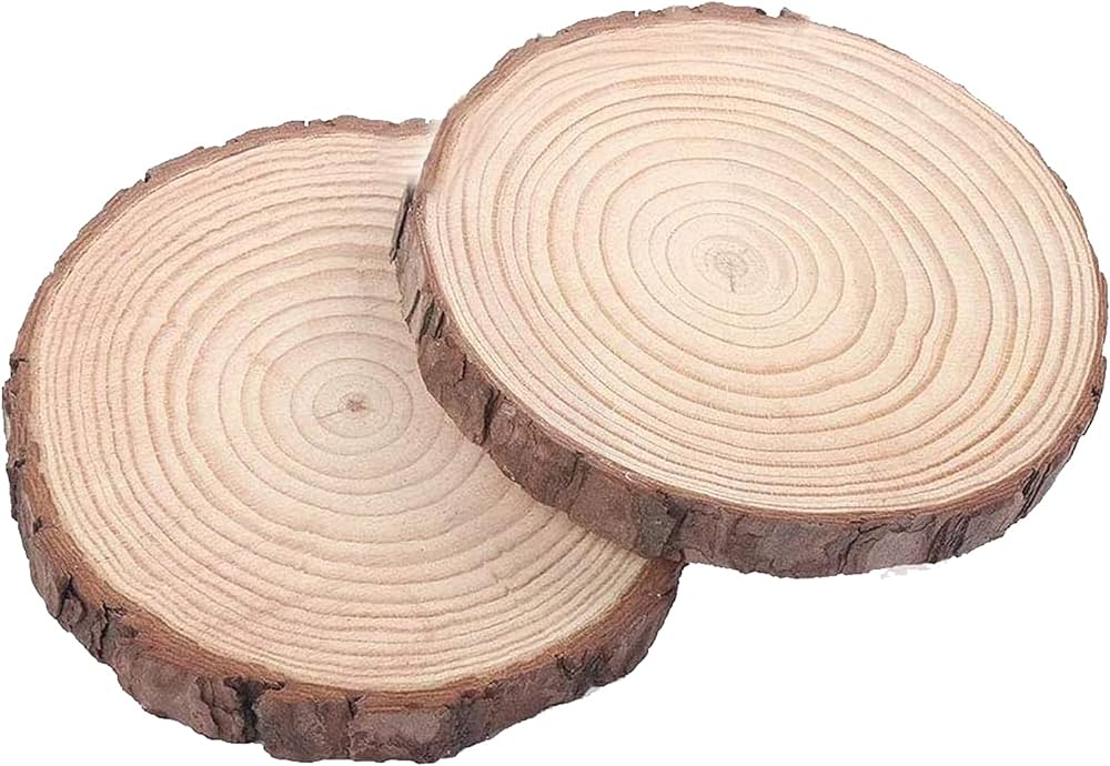 DIY Natural Wood Slices (Big) (Pack of 2 Wooden Slices)