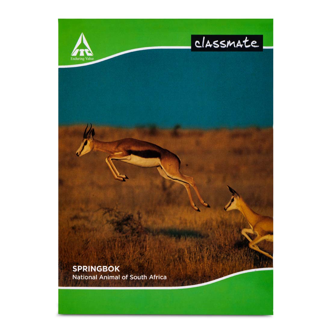 Classmate Notebook- A4 (172 pages)
